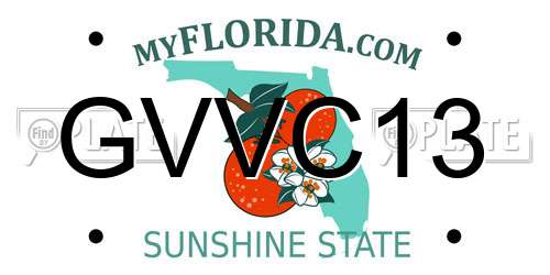 GVVC13 Florida License Plate