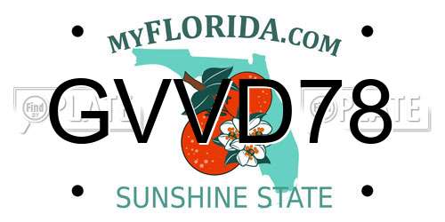 GVVD78 Florida License Plate