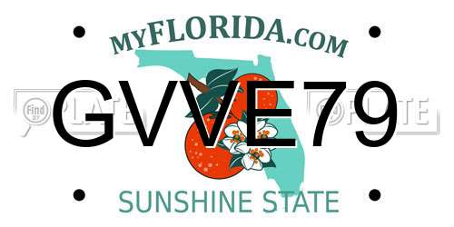 GVVE79 Florida License Plate