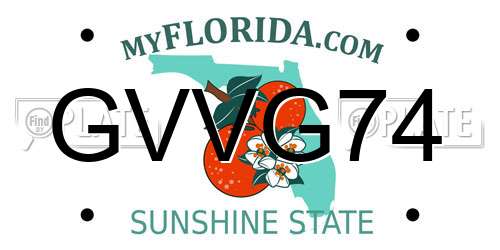 GVVG74 Florida License Plate