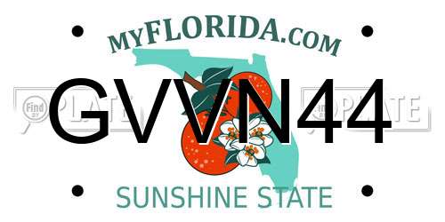 GVVN44 Florida License Plate