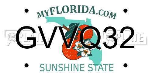 GVVQ32 Florida License Plate