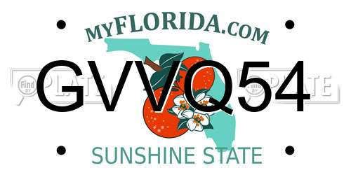 GVVQ54 Florida License Plate