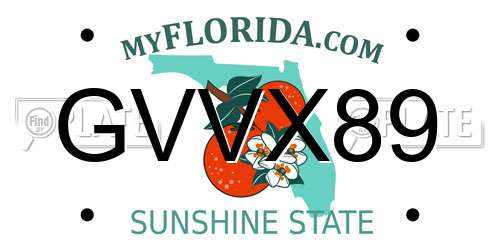 GVVX89 Florida License Plate