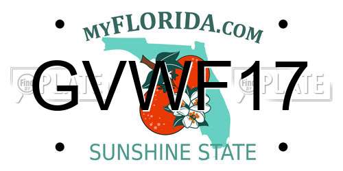 GVWF17 Florida License Plate