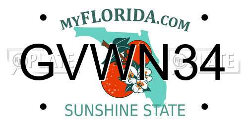GVWN34 Florida License Plate