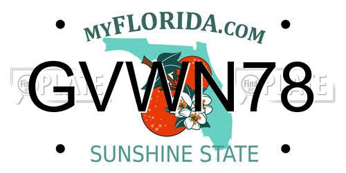 GVWN78 Florida License Plate