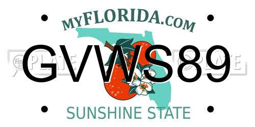 GVWS89 Florida License Plate