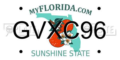 GVXC96 Florida License Plate