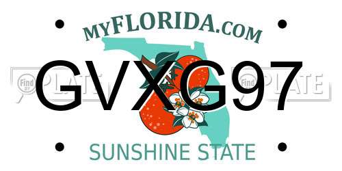 GVXG97 Florida License Plate
