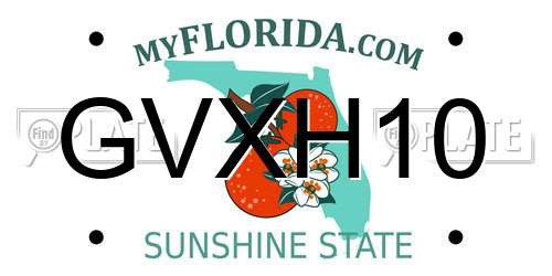 GVXH10 Florida License Plate