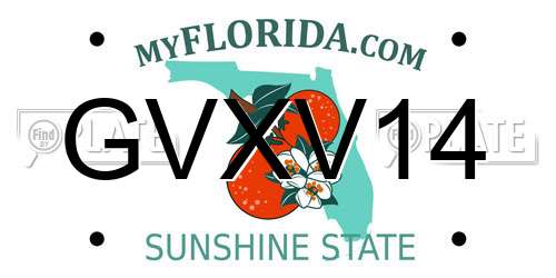 GVXV14 Florida License Plate