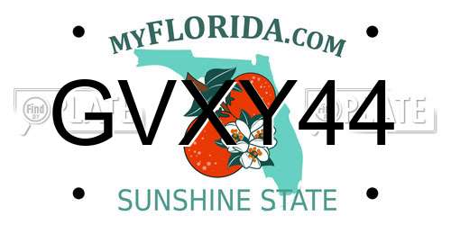 GVXY44 Florida License Plate