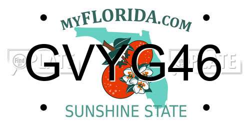GVYG46 Florida License Plate