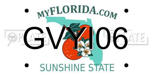 GVYI06 Florida License Plate