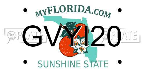 GVYI20 Florida License Plate