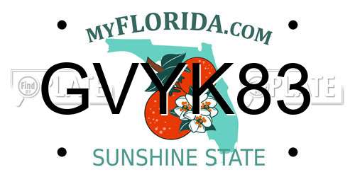GVYK83 Florida License Plate