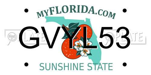 GVYL53 Florida License Plate