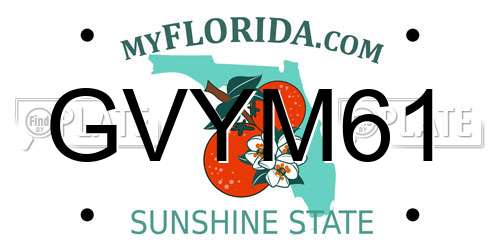 GVYM61 Florida License Plate