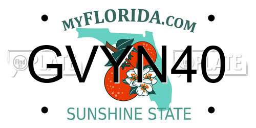 GVYN40 Florida License Plate