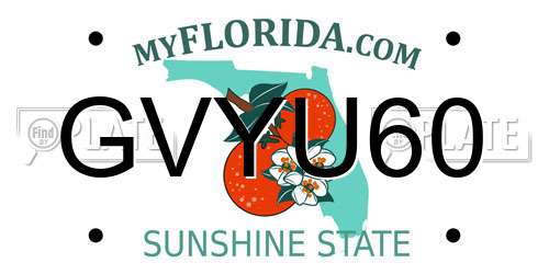 GVYU60 Florida License Plate