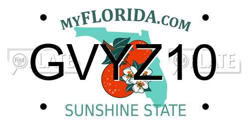 GVYZ10 Florida License Plate