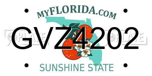 GVZ4202 Florida License Plate