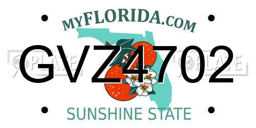 GVZ4702 Florida License Plate