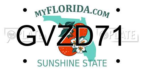 GVZD71 Florida License Plate