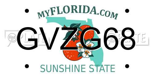GVZG68 Florida License Plate