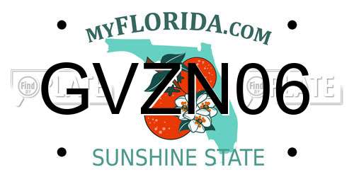 GVZN06 Florida License Plate