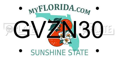 GVZN30 Florida License Plate