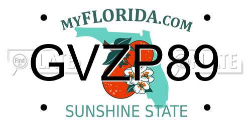 GVZP89 Florida License Plate