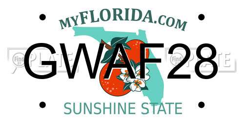 GWAF28 Florida License Plate