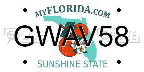 GWAV58 Florida License Plate