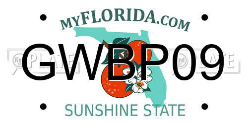 GWBP09 Florida License Plate