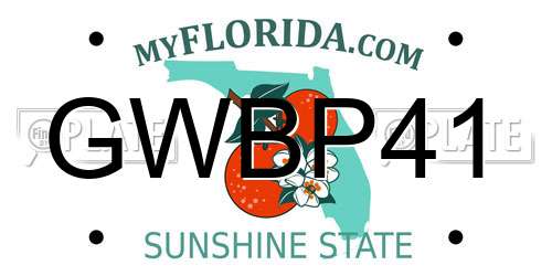 GWBP41 Florida License Plate