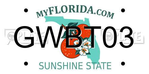 GWBT03 Florida License Plate