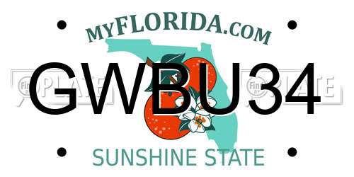 GWBU34 Florida License Plate