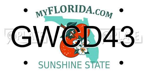 GWCD43 Florida License Plate