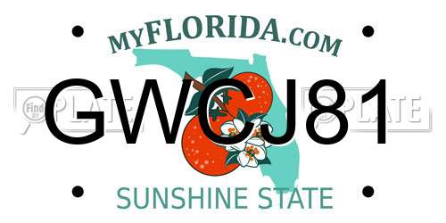 GWCJ81 Florida License Plate