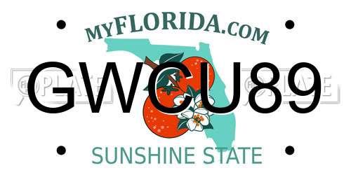 GWCU89 Florida License Plate