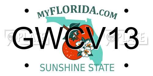 GWCV13 Florida License Plate