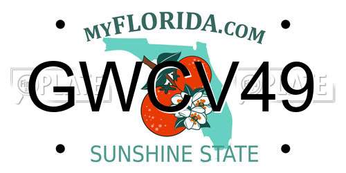 GWCV49 Florida License Plate