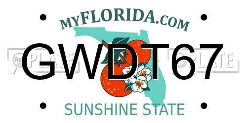 GWDT67 Florida License Plate