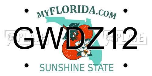 GWDZ12 Florida License Plate