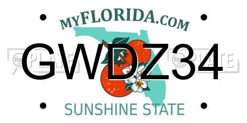 GWDZ34 Florida License Plate