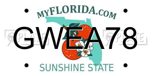 GWEA78 Florida License Plate