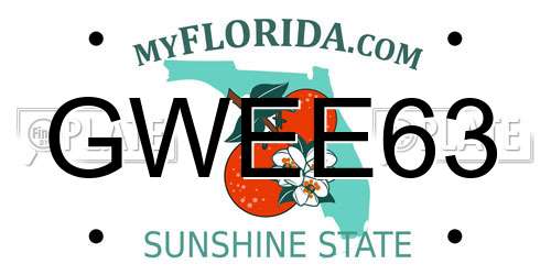 GWEE63 Florida License Plate