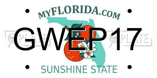 GWEP17 Florida License Plate